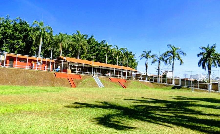 Recuperação de Vícios sob Enfoque Médico: Fases da Desintoxicação, Tratamentos Clínicos e Apoios