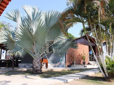 Clínicas de Recuperação Instituto Psicológico em São José dos Campos Convênio Médico Bradesco Saúde e SulAmérica- SP