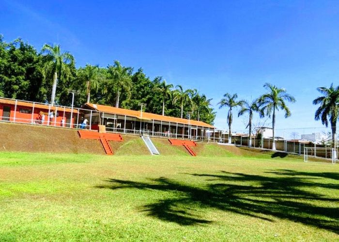 Recuperação de Vícios sob Enfoque Médico: Fases da Desintoxicação, Tratamentos Clínicos e Apoios